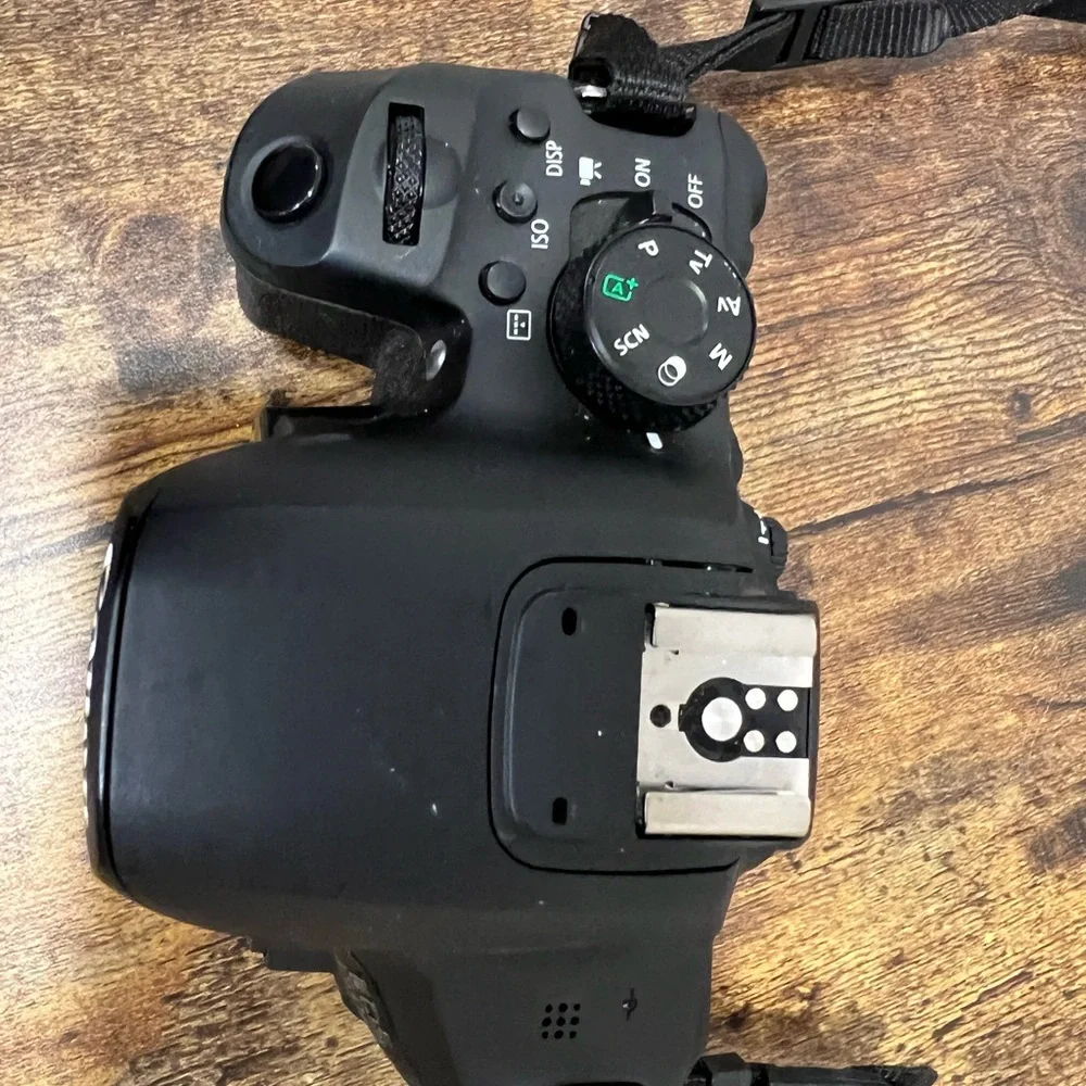 Canon T8i